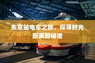 冬季电动车驰骋无忧，电动车使用与维护全攻略
