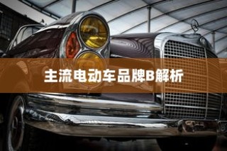 主流电动车品牌B深度解析，为何选择电车B牌子是明智的决策？