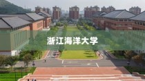 iPhone使用字体探究，独特魅力与细节之美