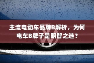 主流电动车品牌B深度解析，为何选择电车B牌子是明智的决策？