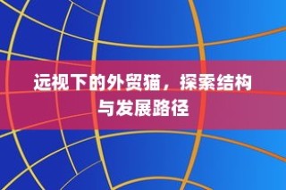 外贸猫，探索远景下的结构与发展路径