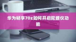 华为畅享70z如何开启陀螺仪功能