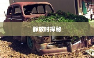 电车静放异响探秘之旅
