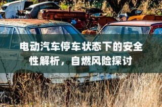 电动汽车停车状态下的安全性解析，自燃风险探讨与防范措施