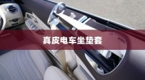 真皮电车坐垫套，通用性与应用详解