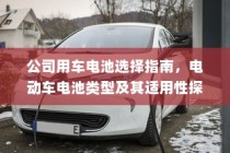 公司用车电池选型指南，电动车电池类型与适用性分析