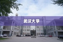 武汉大学河南录取政策全面解析
