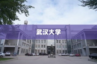 武汉大学河南录取政策全面解析