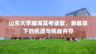 河南高考新篇章展望，备战未来，2024年趋势分析与策略解读