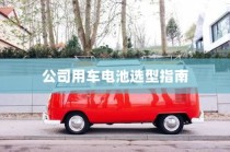 公司用车电池选型指南，电动车电池类型与适用性分析