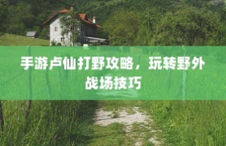 手游卢仙打野攻略，玩转野外战场技巧秘籍