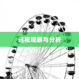 外贸猫结构探索，深度观察与分析