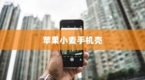 苹果小麦手机壳好不好用？深度解析其优势与不足