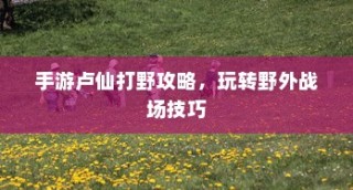 手游卢仙打野攻略，玩转野外战场技巧秘籍