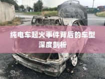 纯电车起火事件背后的车型深度探究