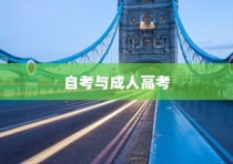 自考与成人高考，双轨并进，共筑成才梦想之桥