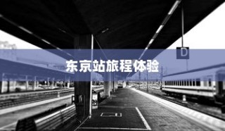 纯电车起火车型深度剖析