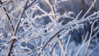 寒潮将影响我国大部 四川陕西等地局地大暴雪