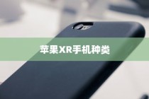 苹果XR手机有几种？全面解析苹果XR系列手机种类与特点