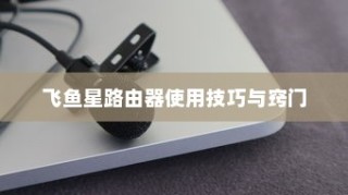 飞鱼星路由器使用技巧与窍门