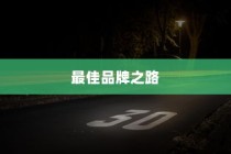 电车B时代，探寻最佳品牌之路