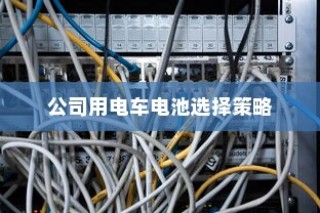 公司电车电池选型策略