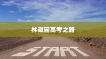 林徽因高考之路，追梦之旅的智慧与闪耀（2024年）