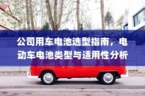 公司用车电池选型指南，电动车电池类型与适用性分析