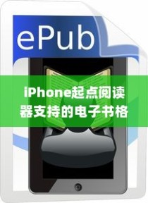 iPhone起点阅读器支持的电子书格式及阅读体验探讨