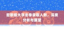 密歇根大学冬季录取人数深度剖析与未来展望