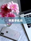 苹果手机壳寓意的深度解读