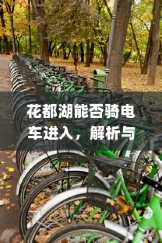 花都湖电车进入政策解析与探讨