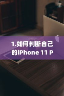 1.如何判断自己的iPhone 11 Pro是否为单卡版本？
