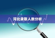 浙江海洋大学在河北录取人数分析，深度解读数据报告