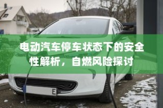 电动汽车停车状态下的安全性解析，自燃风险探讨与防范措施