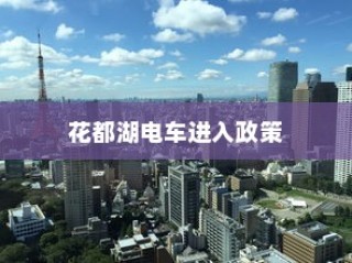 花都湖电车进入政策深度解析与探讨