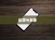 苹果横条手机设计元素的起源与发展