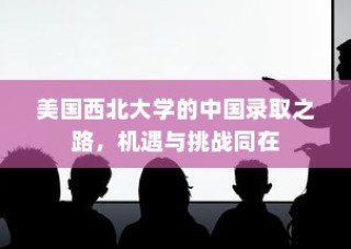 美国西北大学的中国录取之路，机遇与挑战并存