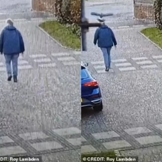 英国老鹰偏好攻击特定目标，高个秃头男性