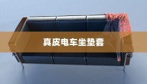 真皮电车坐垫套的通用性探讨