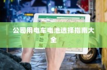 公司用电车电池选择指南，全面解析与选购建议