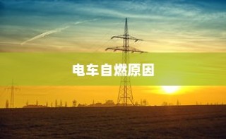 货拉拉电车价格全面解析