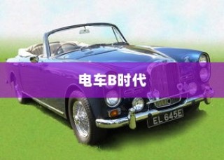 电车B时代，品牌对比与选购指南
