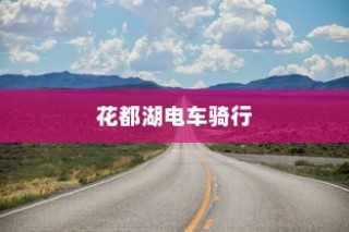 电车爆胎原因深度解析