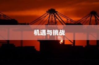 外贸行业值得一试吗？机遇与挑战深度探讨的外贸经验分享。
