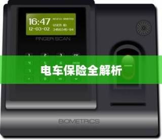 电车保险全解析，购买全险指南与保险选择建议