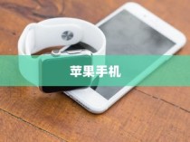 苹果手机质保时间详解