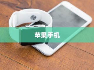 苹果手机质保时间详解