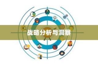 远视外贸猫结构，深度探索、战略洞察与分析