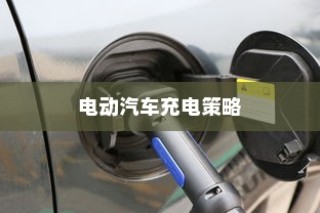 电动汽车充电策略与电池健康维护，电量降至30%时是否充电的探讨